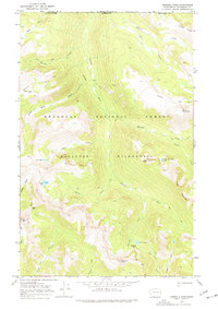 Download a high-resolution, GPS-compatible USGS topo map for Ashnola Pass, WA (1977 edition)