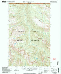 Download a high-resolution, GPS-compatible USGS topo map for Ashnola Pass, WA (2006 edition)
