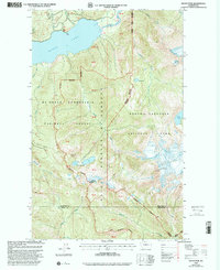 preview thumbnail of historical topo map of Whatcom County, WA in 1999