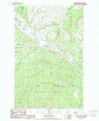 Download a high-resolution, GPS-compatible USGS topo map for Bailey Creek, WA (1988 edition)