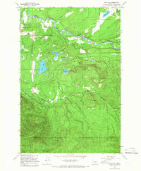 Download a high-resolution, GPS-compatible USGS topo map for Bald Hill, WA (1966 edition)