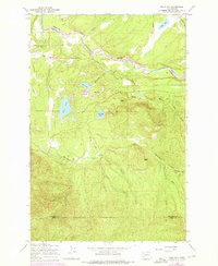Download a high-resolution, GPS-compatible USGS topo map for Bald Hill, WA (1975 edition)