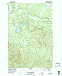 Download a high-resolution, GPS-compatible USGS topo map for Bald Hill, WA (1995 edition)