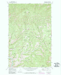 Download a high-resolution, GPS-compatible USGS topo map for Baldy Mountain, WA (1987 edition)