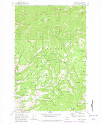 Download a high-resolution, GPS-compatible USGS topo map for Baldy Mtn, WA (1981 edition)