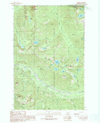 preview thumbnail of historical topo map of King County, WA in 1989