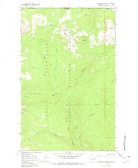 Download a high-resolution, GPS-compatible USGS topo map for Bauerman Ridge, WA (1981 edition)