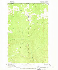 Download a high-resolution, GPS-compatible USGS topo map for Bauerman Ridge, WA (1973 edition)