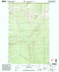 Download a high-resolution, GPS-compatible USGS topo map for Bauerman Ridge, WA (2004 edition)