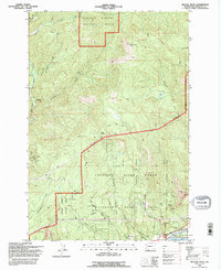preview thumbnail of historical topo map of Skamania County, WA in 1994