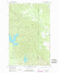 Download a high-resolution, GPS-compatible USGS topo map for Bead Lake, WA (1986 edition)