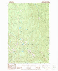 Download a high-resolution, GPS-compatible USGS topo map for Bearhead Mtn, WA (1986 edition)