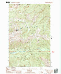 Download a high-resolution, GPS-compatible USGS topo map for Bearpaw Mountain, WA (1989 edition)