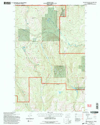 Download a high-resolution, GPS-compatible USGS topo map for Belshazzar Mtn, WA (1996 edition)