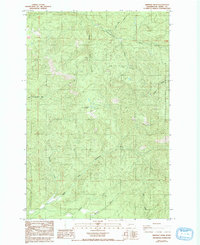 Download a high-resolution, GPS-compatible USGS topo map for Bernier Creek, WA (1993 edition)