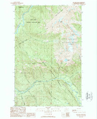 preview thumbnail of historical topo map of Skagit County, WA in 1989
