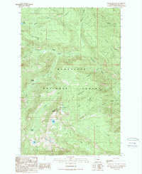 Download a high-resolution, GPS-compatible USGS topo map for Big Jim Mountain, WA (1989 edition)