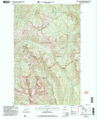 Download a high-resolution, GPS-compatible USGS topo map for Billy Goat Mountain, WA (2006 edition)