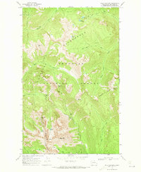 Download a high-resolution, GPS-compatible USGS topo map for Billy Goat Mtn, WA (1973 edition)