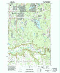 Download a high-resolution, GPS-compatible USGS topo map for Black Diamond, WA (1995 edition)