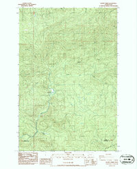 Download a high-resolution, GPS-compatible USGS topo map for Blaney Creek, WA (1986 edition)