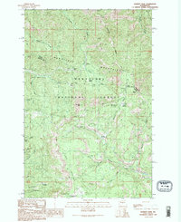 Download a high-resolution, GPS-compatible USGS topo map for Blewett Pass, WA (1996 edition)
