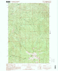 Download a high-resolution, GPS-compatible USGS topo map for Blowout Mountain, WA (1989 edition)