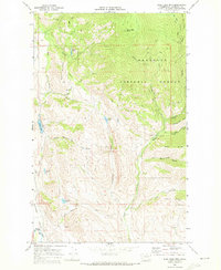 Download a high-resolution, GPS-compatible USGS topo map for Blue Buck Mtn, WA (1973 edition)