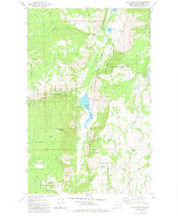 Download a high-resolution, GPS-compatible USGS topo map for Blue Goat Mtn, WA (1981 edition)