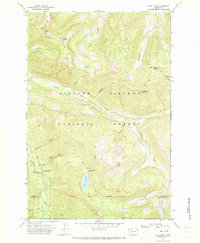 Download a high-resolution, GPS-compatible USGS topo map for Blue Lake, WA (1973 edition)