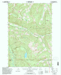 Download a high-resolution, GPS-compatible USGS topo map for Blue Lake, WA (1996 edition)