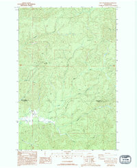 Download a high-resolution, GPS-compatible USGS topo map for Blue Mountain, WA (1994 edition)