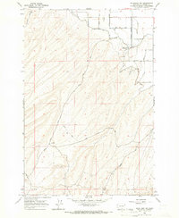 Download a high-resolution, GPS-compatible USGS topo map for Bluelight NW, WA (1966 edition)