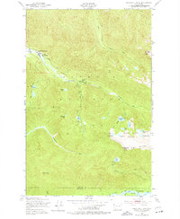 Download a high-resolution, GPS-compatible USGS topo map for Bogachiel Peak, WA (1977 edition)