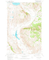 Download a high-resolution, GPS-compatible USGS topo map for Boot Mountain, WA (1980 edition)