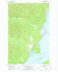 Download a high-resolution, GPS-compatible USGS topo map for Brinnon, WA (1978 edition)