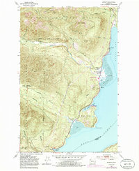 Download a high-resolution, GPS-compatible USGS topo map for Brinnon, WA (1985 edition)