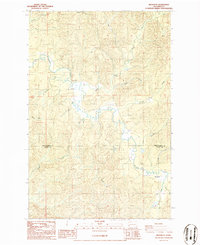 Download a high-resolution, GPS-compatible USGS topo map for Brooklyn, WA (1986 edition)