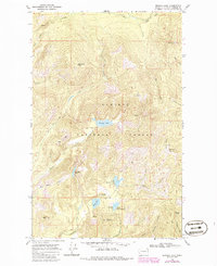 Download a high-resolution, GPS-compatible USGS topo map for Browns Lake, WA (1986 edition)