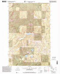 Download a high-resolution, GPS-compatible USGS topo map for Browns Lake, WA (2000 edition)