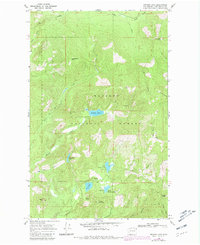 Download a high-resolution, GPS-compatible USGS topo map for Browns Lake, WA (1981 edition)