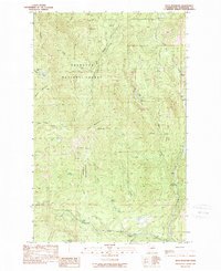 Download a high-resolution, GPS-compatible USGS topo map for Buck Mountain, WA (1989 edition)
