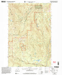 Download a high-resolution, GPS-compatible USGS topo map for Buck Mountain, WA (2004 edition)