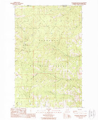 Download a high-resolution, GPS-compatible USGS topo map for Buckhorn Mountain, WA (1988 edition)