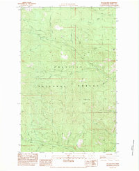 Download a high-resolution, GPS-compatible USGS topo map for Bulldog Mtn, WA (1983 edition)