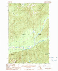 Download a high-resolution, GPS-compatible USGS topo map for Bunch Lake, WA (1990 edition)