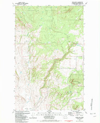 Download a high-resolution, GPS-compatible USGS topo map for Burge Mtn, WA (1982 edition)