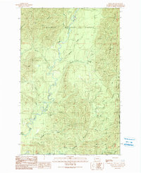 Download a high-resolution, GPS-compatible USGS topo map for Burnt Hill, WA (1990 edition)