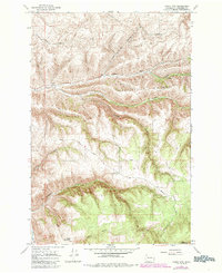 Download a high-resolution, GPS-compatible USGS topo map for Cahill Mountain, WA (1985 edition)