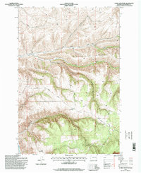 Download a high-resolution, GPS-compatible USGS topo map for Cahill Mountain, WA (1998 edition)